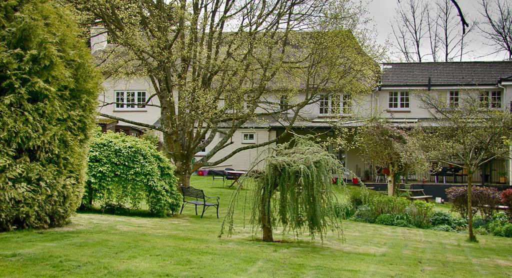 Tumbling Weir Hotel Ottery St Mary Exterior foto